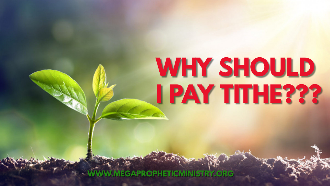 why-should-i-pay-tithe-is-paying-tithe-important-mega-prophetic